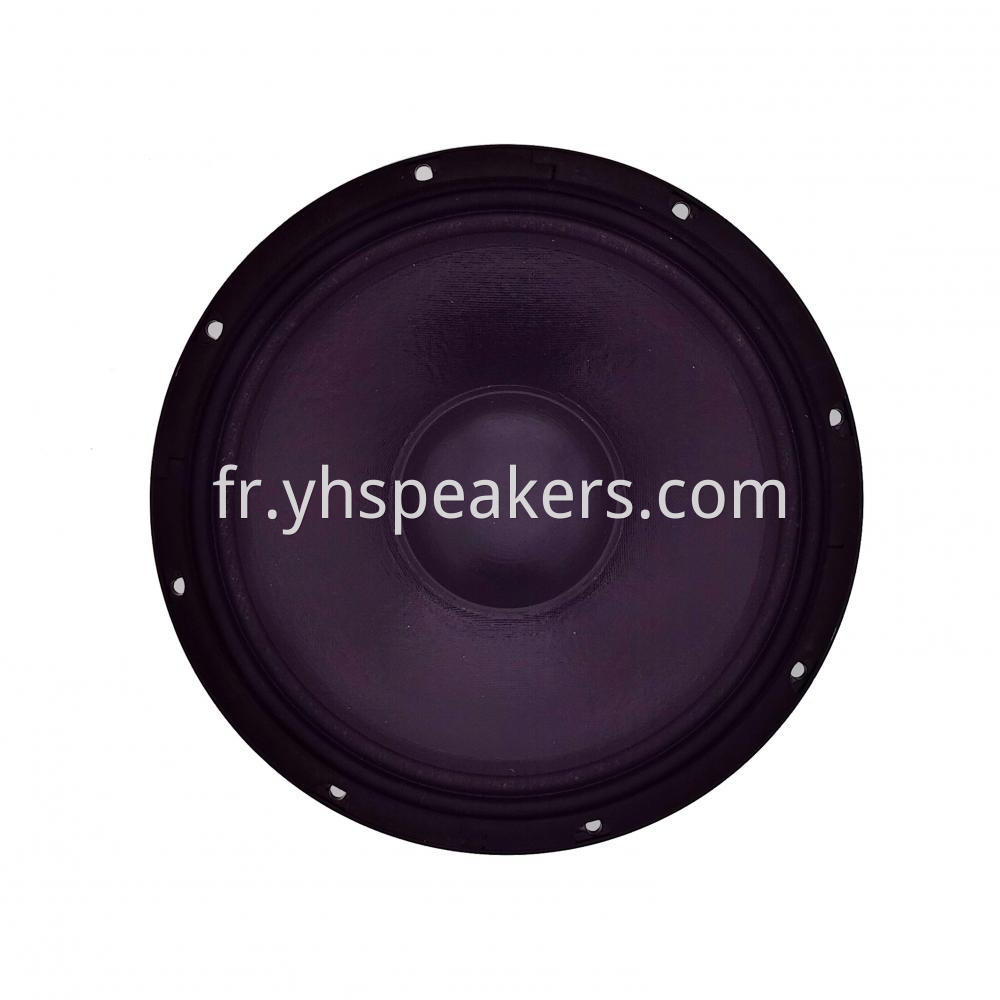 Professional Audio 12 inch Neodymium PA Woofer